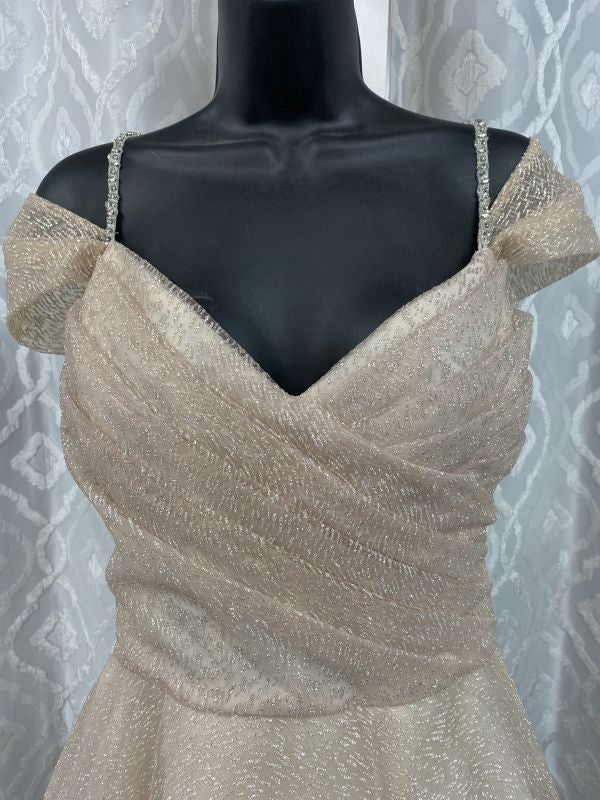 Size 22 Lazaro 3810 Blush Gown - Image 4