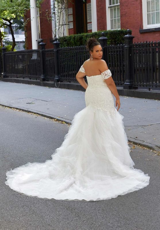 Mori Lee Size 26 3380 Hillary Ivory/Prosecco Gown - Image 4