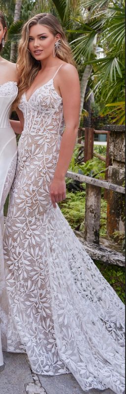 Size 0 Ellie Wilde EW36011 Ivory/Nude Gown - Image 2