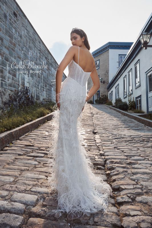 Calla Blanche Size 10 124125 Bryony Ivory Gown - Image 3