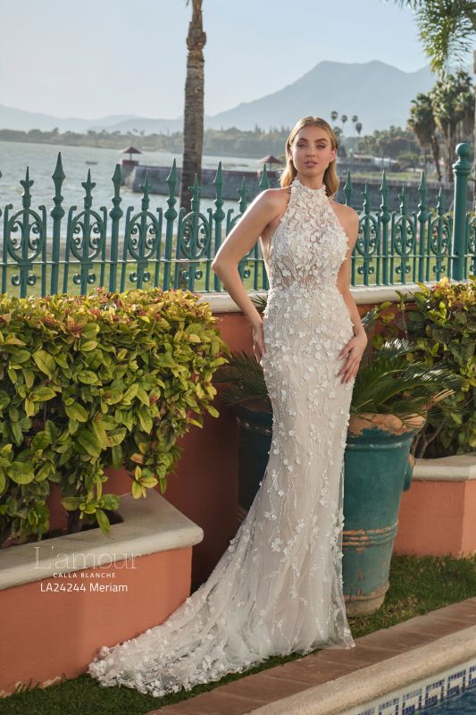 L'amour Size 10 LA24244 Meriam Ivory/Light Nude Gown