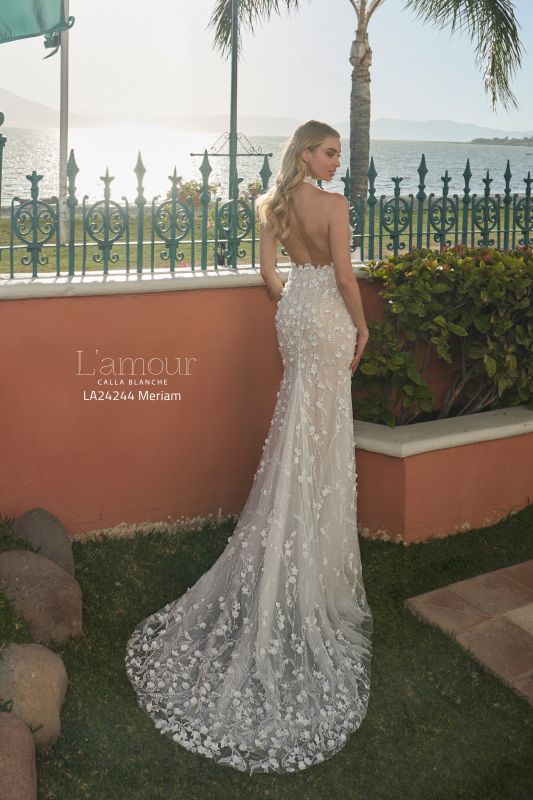 L'amour Size 10 LA24244 Meriam Ivory/Light Nude Gown - Image 3