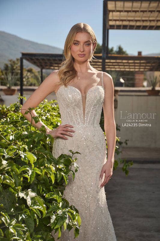 L'amour Size 12 LA24235 Dimitra Ivory/Light Nude Gown - Image 2