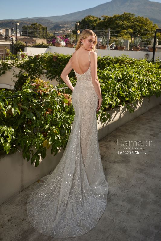 L'amour Size 12 LA24235 Dimitra Ivory/Light Nude Gown - Image 3