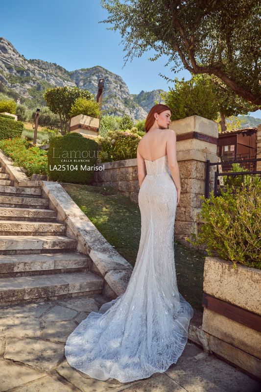L'amour Size 12 LA25104 Marisol Ivory/Light Nude Gown - Image 3