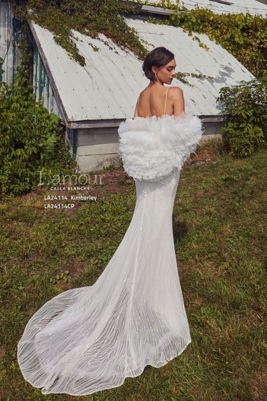 L'amour Size 20 LA24114 Kimberley Ivory Gown - Image 4