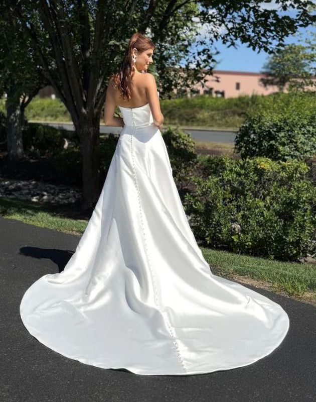 Size 6 Private Collection 600508 Ivory Gown - Image 4
