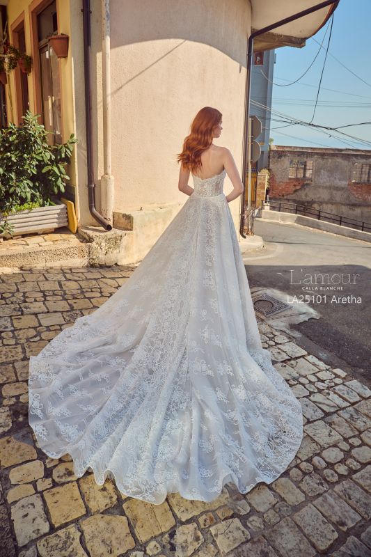 L'amour Size 8 LA25101 Aretha Ivory/Light Nude Gown - Image 5